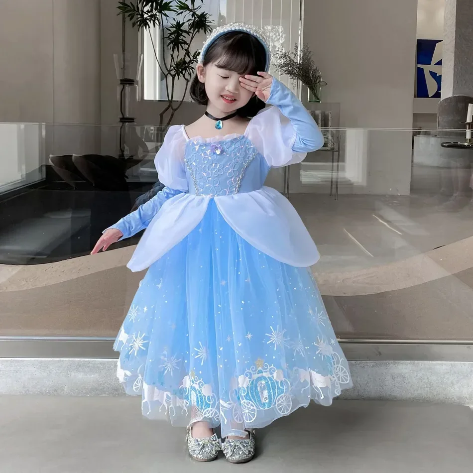 Cinderella Princess Cosplay Dr - Summer Clothing Gifts review and price