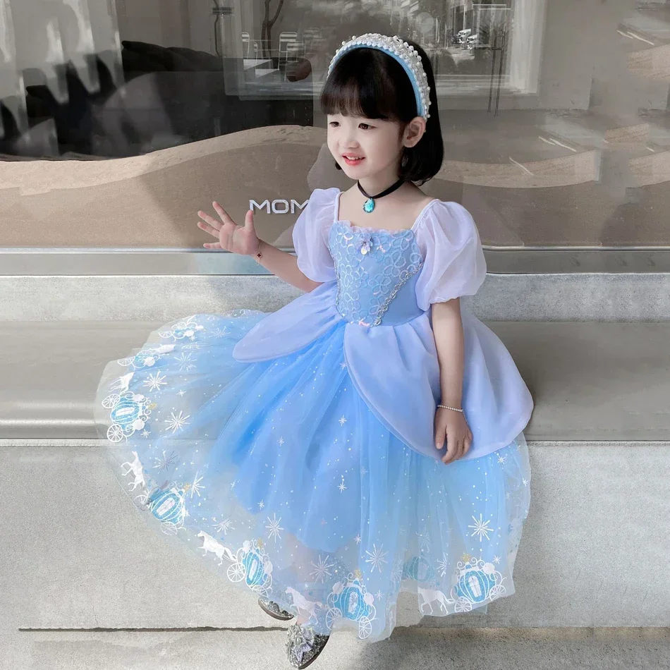Cinderella Princess Cosplay Dr - Summer Clothing Gifts review and price